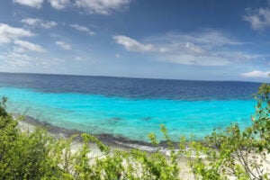 Article thumbnail: Bonaire