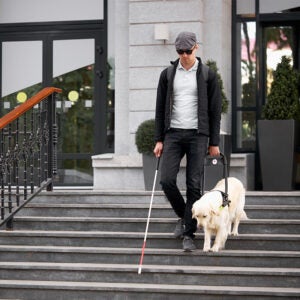 Article thumbnail: REACHING OUT TO OCCUPATIONAL THERAPISTS