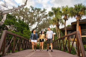 Article thumbnail: SUSTAINABILITY AND HOSPITALITY