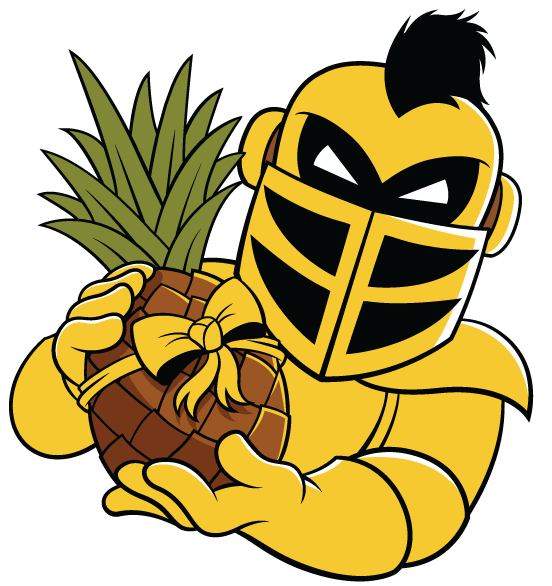 Knightro Picture